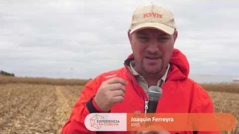Embedded thumbnail for Joaquín Ferreyra – KWS